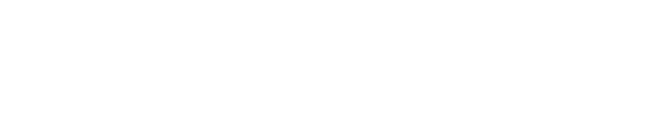 NEW STORE LOGO